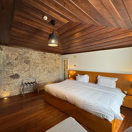 Rural Alves - - Casa Alves De Torneiros 4* 布拉加